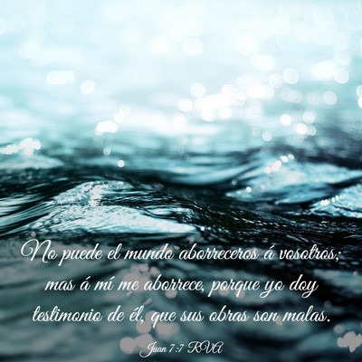 Picture 03 - Juan 7:7 RVA - No puede el mundo aborreceros á vosotros; mas á - Bible Verse Picture