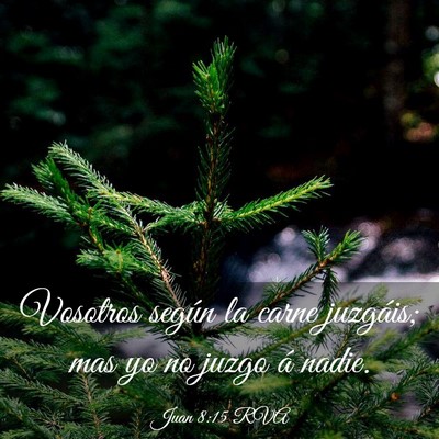 Picture 03 - Juan 8:15 RVA - Vosotros según la carne juzgáis; mas yo no - Bible Verse Picture