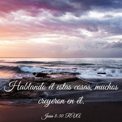 Picture 03 - Juan 8:30 RVA - Hablando él estas cosas, muchos creyeron en - Bible Verse Picture
