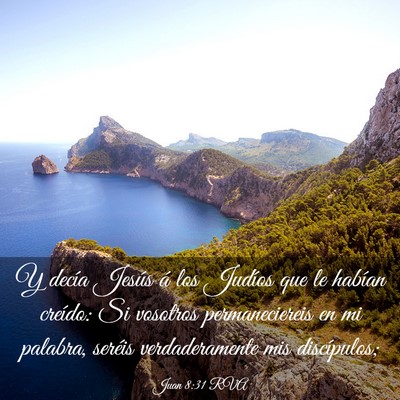 Picture 03 - Juan 8:31 RVA - Y decía Jesús á los Judíos que le habían - Bible Verse Picture