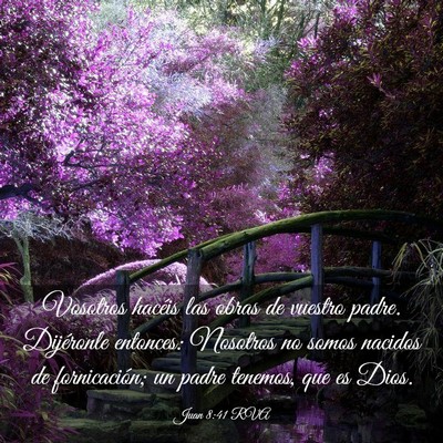 Picture 03 - Juan 8:41 RVA - Vosotros hacéis las obras de vuestro padre. - Bible Verse Picture