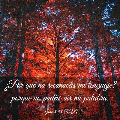 Picture 03 - Juan 8:43 RVA - ¿Por qué no reconocéis mi lenguaje? porque no - Bible Verse Picture