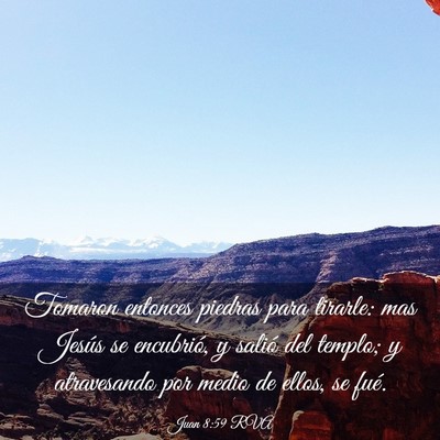 Picture 03 - Juan 8:59 RVA - Tomaron entonces piedras para tirarle: mas Jesús - Bible Verse Picture