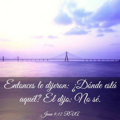 Picture 03 - Juan 9:12 RVA - Entonces le dijeron: ¿Dónde está aquél? El - Bible Verse Picture