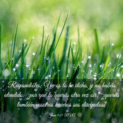 Picture 03 - Juan 9:27 RVA - Respondióles: Ya os lo he dicho, y no habéis - Bible Verse Picture