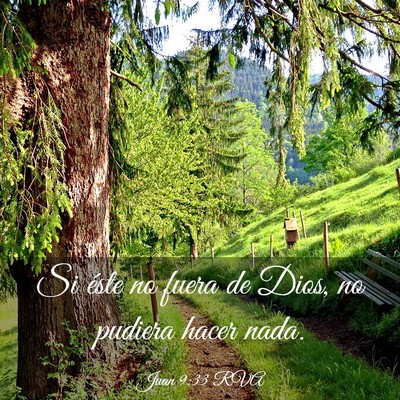 Picture 03 - Juan 9:33 RVA - Si éste no fuera de Dios, no pudiera hacer - Bible Verse Picture
