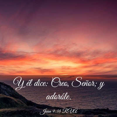 Picture 03 - Juan 9:38 RVA - Y él dice: Creo, Señor; y - Bible Verse Picture