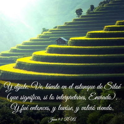 Picture 03 - Juan 9:7 RVA - Y díjole: Ve, lávate en el estanque de Siloé - Bible Verse Picture