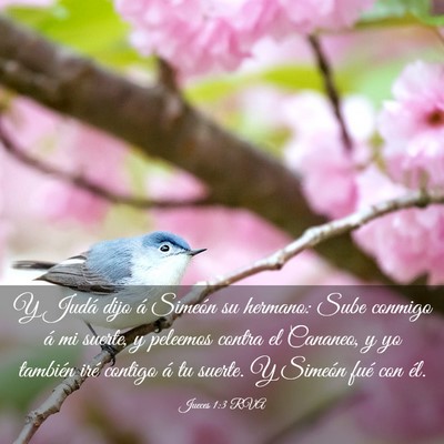 Picture 03 - Jueces 1:3 RVA - Y Judá dijo á Simeón su hermano: Sube conmigo - Bible Verse Picture