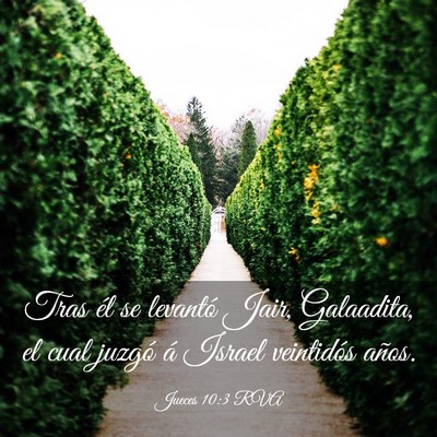 Picture 03 - Jueces 10:3 RVA - Tras él se levantó Jair, Galaadita, el cual - Bible Verse Picture