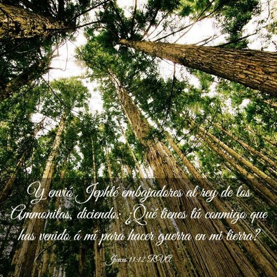 Picture 03 - Jueces 11:12 RVA - Y envió Jephté embajadores al rey de los - Bible Verse Picture