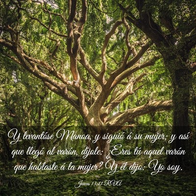 Picture 03 - Jueces 13:11 RVA - Y levantóse Manoa, y siguió á su mujer; y así - Bible Verse Picture