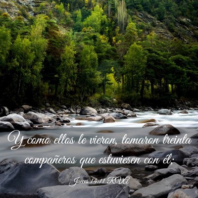 Picture 03 - Jueces 14:11 RVA - Y como ellos le vieron, tomaron treinta - Bible Verse Picture