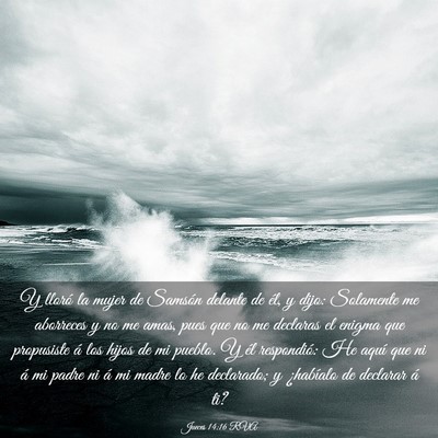 Picture 03 - Jueces 14:16 RVA - Y lloró la mujer de Samsón delante de él, y - Bible Verse Picture