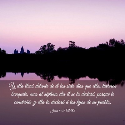 Picture 03 - Jueces 14:17 RVA - Y ella lloró delante de él los siete días que - Bible Verse Picture