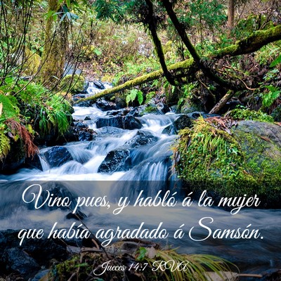 Picture 03 - Jueces 14:7 RVA - Vino pues, y habló á la mujer que había - Bible Verse Picture