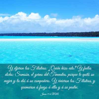 Picture 03 - Jueces 15:6 RVA - Y dijeron los Filisteos: ¿Quién hizo esto? Y - Bible Verse Picture