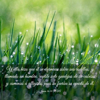 Picture 03 - Jueces 16:19 RVA - Y ella hizo que él se durmiese sobre sus - Bible Verse Picture