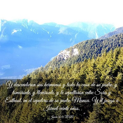 Picture 03 - Jueces 16:31 RVA - Y descendieron sus hermanos y toda la casa de su - Bible Verse Picture