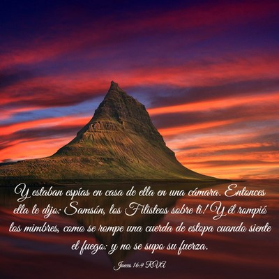 Picture 03 - Jueces 16:9 RVA - Y estaban espías en casa de ella en una cámara. - Bible Verse Picture