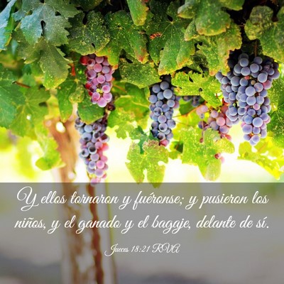 Picture 03 - Jueces 18:21 RVA - Y ellos tornaron y fuéronse; y pusieron los - Bible Verse Picture