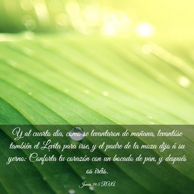 Picture 03 - Jueces 19:5 RVA - Y al cuarto día, como se levantaron de mañana, - Bible Verse Picture
