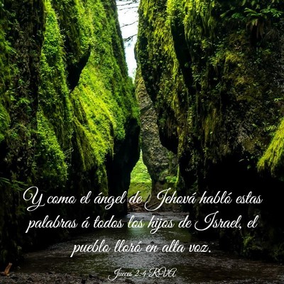 Picture 03 - Jueces 2:4 RVA - Y como el ángel de Jehová habló estas palabras - Bible Verse Picture