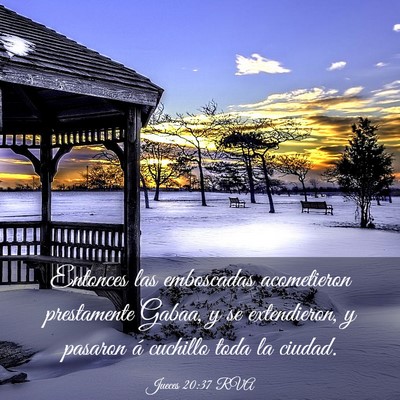 Picture 03 - Jueces 20:37 RVA - Entonces las emboscadas acometieron prestamente - Bible Verse Picture