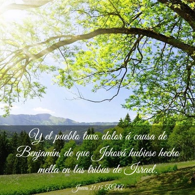 Picture 03 - Jueces 21:15 RVA - Y el pueblo tuvo dolor á causa de Benjamín, de - Bible Verse Picture