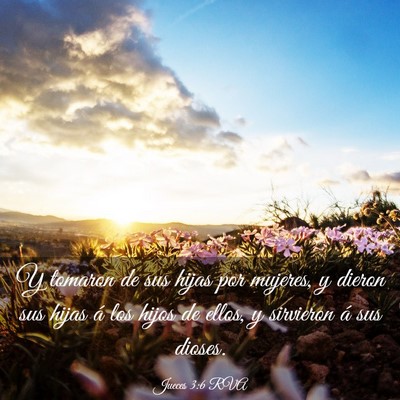 Picture 03 - Jueces 3:6 RVA - Y tomaron de sus hijas por mujeres, y dieron sus - Bible Verse Picture