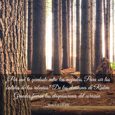 Picture 03 - Jueces 5:16 RVA - ¿Por qué te quedaste entre las majadas, Para - Bible Verse Picture