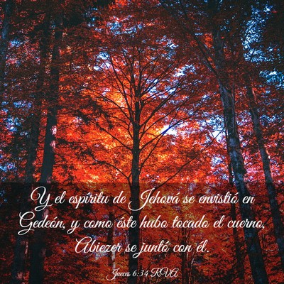 Picture 03 - Jueces 6:34 RVA - Y el espíritu de Jehová se envistió en - Bible Verse Picture