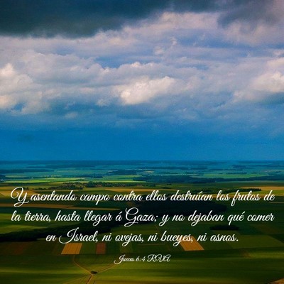 Picture 03 - Jueces 6:4 RVA - Y asentando campo contra ellos destruían los - Bible Verse Picture