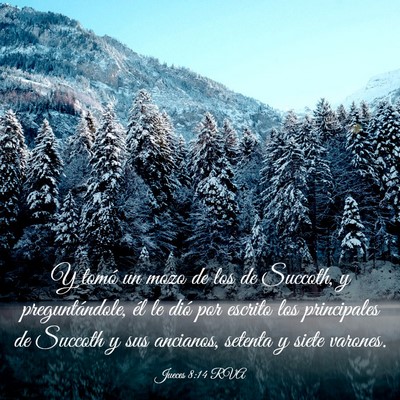 Picture 03 - Jueces 8:14 RVA - Y tomó un mozo de los de Succoth, y - Bible Verse Picture