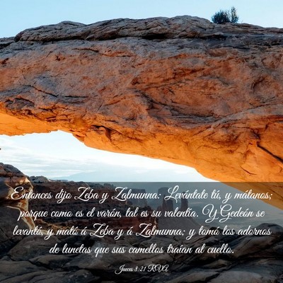 Picture 03 - Jueces 8:21 RVA - Entonces dijo Zeba y Zalmunna: Levántate tú, y - Bible Verse Picture