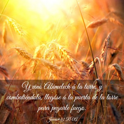 Picture 03 - Jueces 9:52 RVA - Y vino Abimelech á la torre, y combatiéndola, - Bible Verse Picture