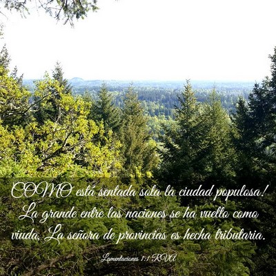 Picture 03 - Lamentaciones 1:1 RVA - COMO está sentada sola la ciudad populosa! La - Bible Verse Picture