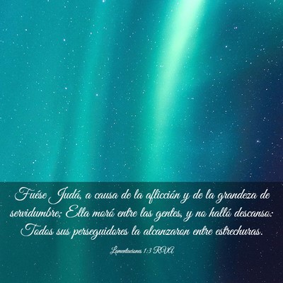 Picture 03 - Lamentaciones 1:3 RVA - Fuése Judá, a causa de la aflicción y de la - Bible Verse Picture