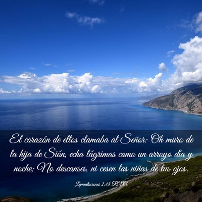 Picture 03 - Lamentaciones 2:18 RVA - El corazón de ellos clamaba al Señor: Oh muro - Bible Verse Picture