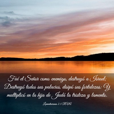 Picture 03 - Lamentaciones 2:5 RVA - Fué el Señor como enemigo, destruyó a Israel; - Bible Verse Picture