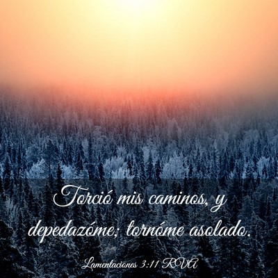 Picture 03 - Lamentaciones 3:11 RVA - Torció mis caminos, y depedazóme; tornóme - Bible Verse Picture
