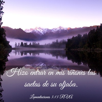 Picture 03 - Lamentaciones 3:13 RVA - Hizo entrar en mis riñones las saetas de su - Bible Verse Picture