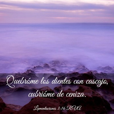 Picture 03 - Lamentaciones 3:16 RVA - Quebróme los dientes con cascajo, cubrióme de - Bible Verse Picture