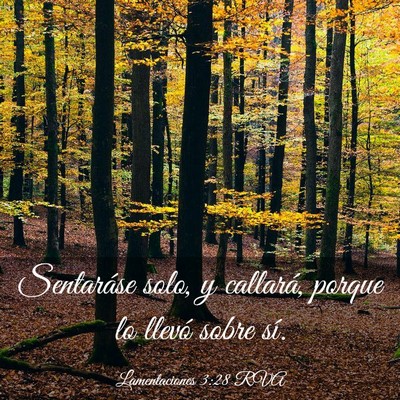 Picture 03 - Lamentaciones 3:28 RVA - Sentaráse solo, y callará, porque lo llevó - Bible Verse Picture