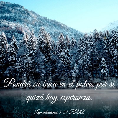 Picture 03 - Lamentaciones 3:29 RVA - Pondrá su boca en el polvo, por si quizá hay - Bible Verse Picture