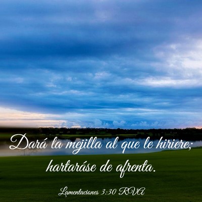 Picture 03 - Lamentaciones 3:30 RVA - Dará la mejilla al que le hiriere; hartaráse de - Bible Verse Picture