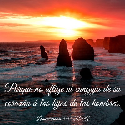 Picture 03 - Lamentaciones 3:33 RVA - Porque no aflige ni congoja de su corazón á los - Bible Verse Picture