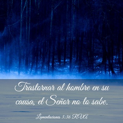 Picture 03 - Lamentaciones 3:36 RVA - Trastornar al hombre en su causa, el Señor no lo - Bible Verse Picture