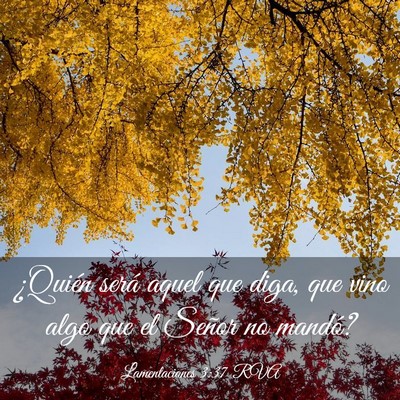 Picture 03 - Lamentaciones 3:37 RVA - ¿Quién será aquel que diga, que vino algo que - Bible Verse Picture