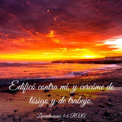 Picture 03 - Lamentaciones 3:5 RVA - Edificó contra mí, y cercóme de tósigo y de - Bible Verse Picture